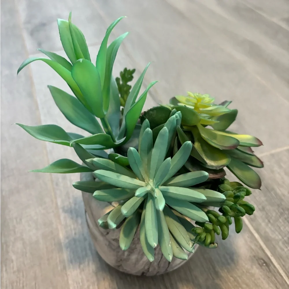 Green and Brown Succulent Arrangement in Marble Pot